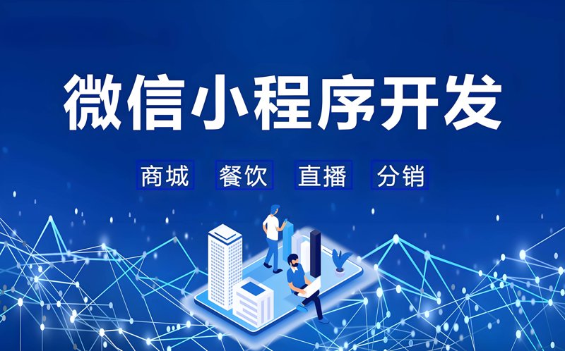 ERP系统定制：企业能否精准把控未来？